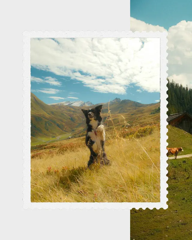 Alpine Post, slide 1