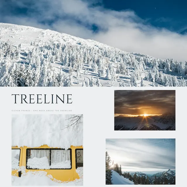 Treeline grid layout